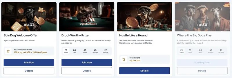 Why the Mobile/Desktop Divide Matters for UK Players Spindog app - Why the Mobile/Desktop Divide Matters for UK Players
